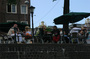 IMG_7850.jpg