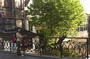 CRW_4406.jpg
