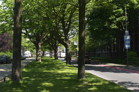 CRW_3874.jpg
