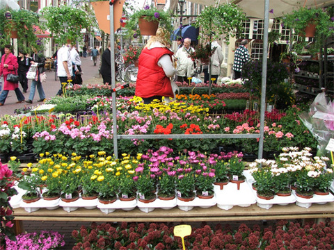 DSCF0725.jpg