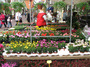 DSCF0725.jpg