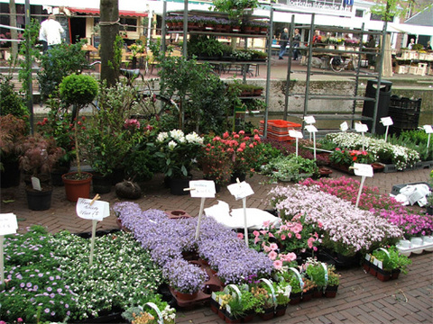 DSCF0755.jpg