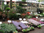 DSCF0755.jpg