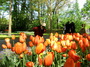 DSCF1047.jpg