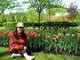 DSCF1054.jpg