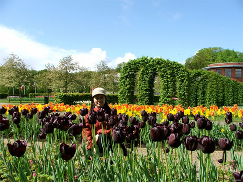 DSCF1058.jpg
