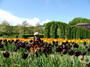 DSCF1058.jpg