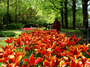 DSCF1081.jpg