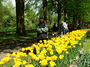 DSCF1089.jpg