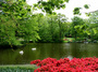 DSCF1114.jpg