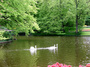 DSCF1115.jpg