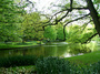 DSCF1155.jpg
