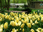 DSCF1214.jpg