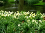 DSCF1215.jpg