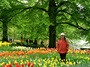 DSCF1235.jpg