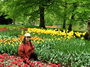 DSCF1237.jpg
