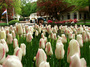 DSCF1289.jpg