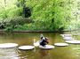 DSCF1298.jpg