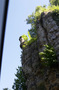 CRW_5814.jpg
