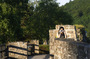 CRW_6031.jpg