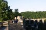 CRW_6070.jpg