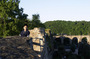 CRW_6071.jpg