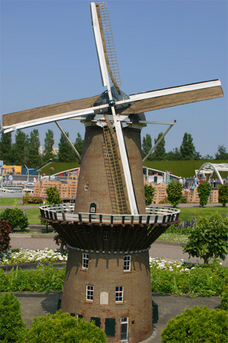IMG_6910.jpg