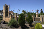 CRW_6372.jpg