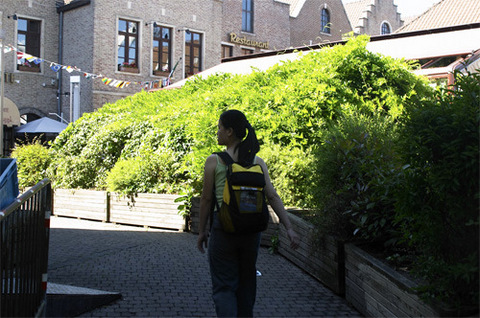 CRW_6548.jpg