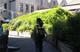 CRW_6548.jpg