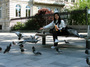 DSCF1374.jpg