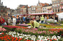 DSC00413.jpg