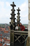 DSC09433.jpg