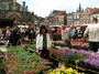 DSCF0917.jpg