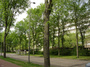 DSC06809.jpg