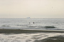 IMG_7130.jpg