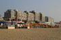 IMG_7156.jpg