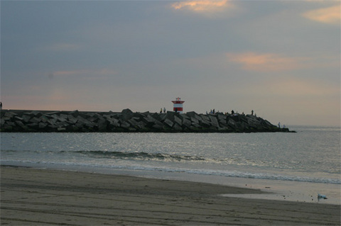 IMG_7188.jpg