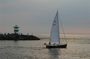 IMG_7199.jpg