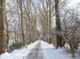 DSC00068.jpg