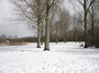 DSC06121.jpg