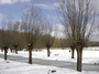 DSC06123.jpg