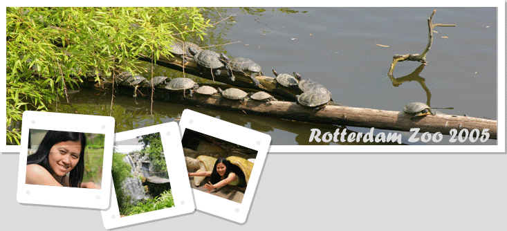 Rotterdam Zoo 2005