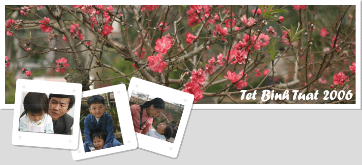 Tet Binh Tuat 2006